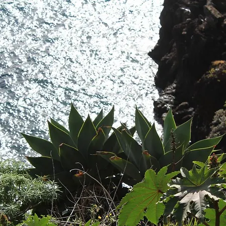 Chuva De Prata 卡尼索