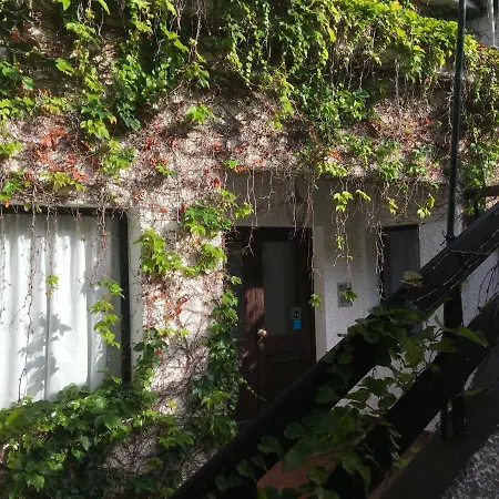 Chuva De Prata * 卡尼索