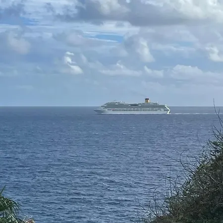 Chuva De Prata Daire