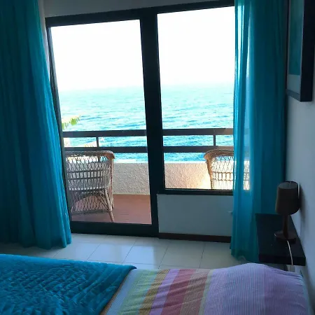 Chuva De Prata Caniço