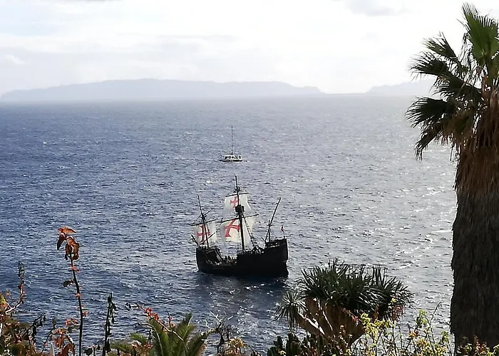 Chuva De Prata * Caniço