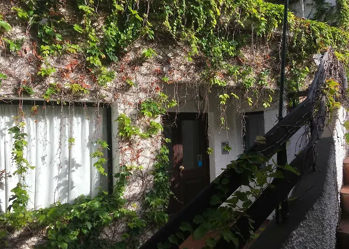 Chuva De Prata * Caniço